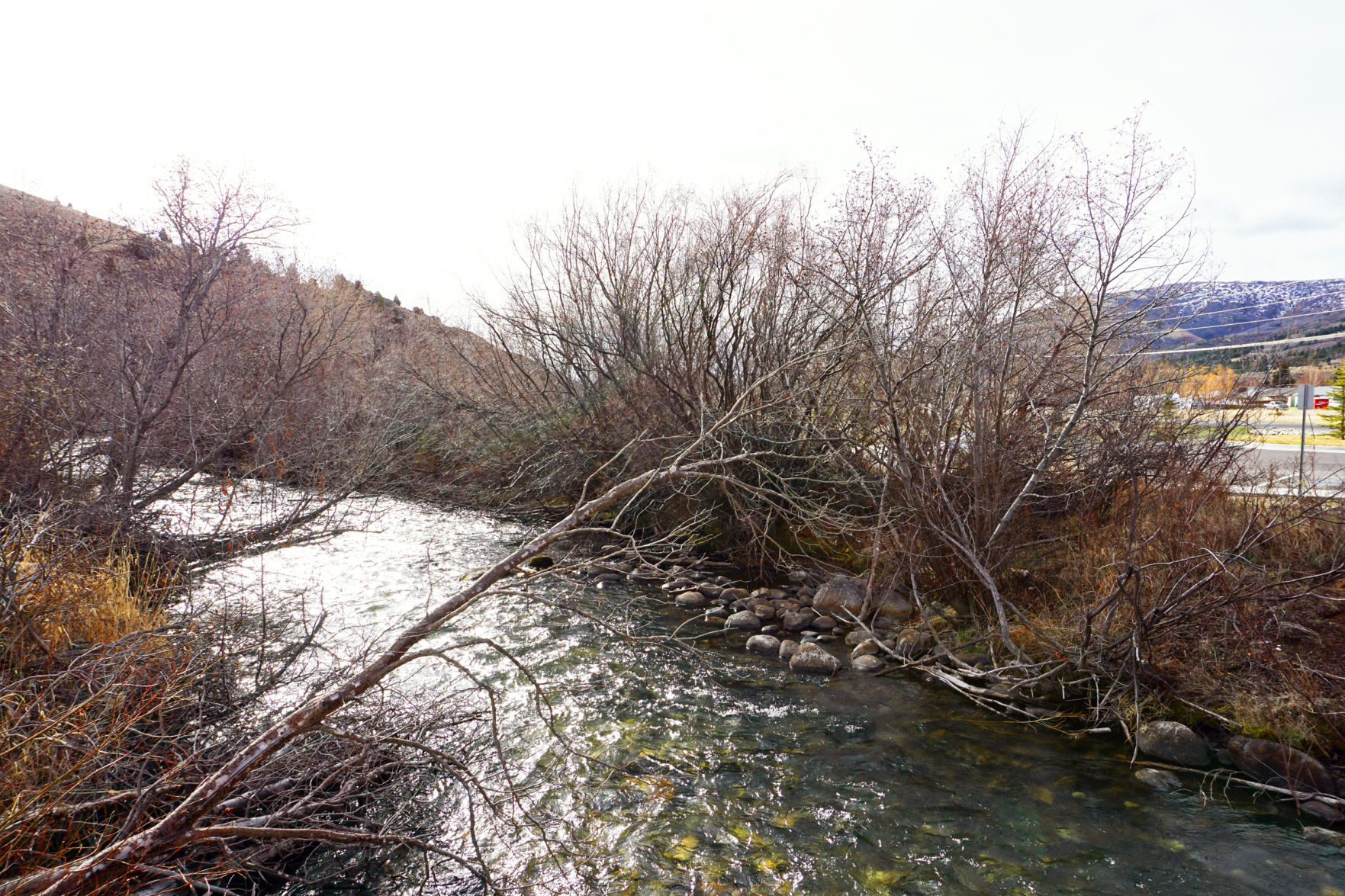 creek view